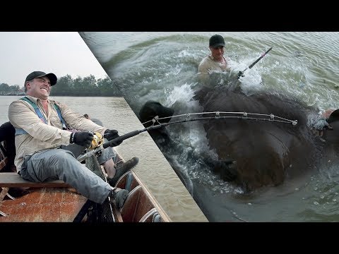 Vidéo: Quel est le plus gros poisson d'eau douce au monde ?
