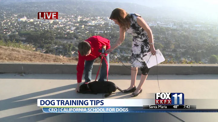 KKFX: Puppy Training Tips | Dr. Susan Dalton