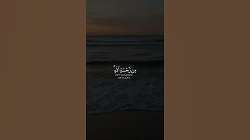 القارئ محمد هشام ترتيل إبداعي سورة الزمر- قرآن كريم💛🌿