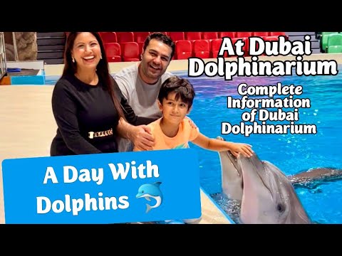 Dubai Dolphinarium, Things to See & Do in DUBAI | Dubai Attractions | Mamta Sachdeva