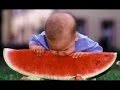 -مقاطع مضحكة 2016 للأطفال |اضحك من قلبك مع الأطفال-جزء 2-