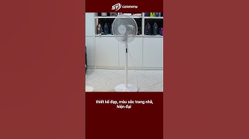 Quạt cây Trotec TVE24S