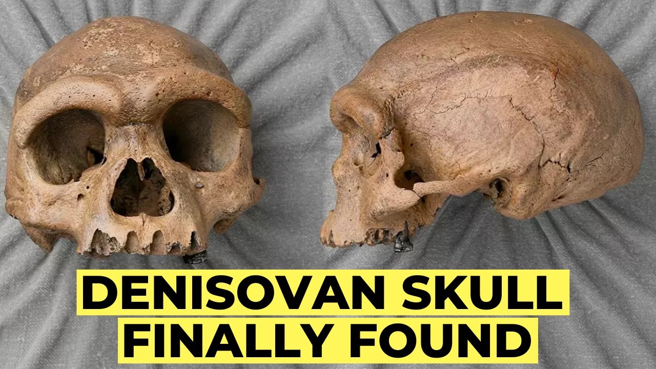 Ancient DNA Reveals The REAL Origin of Denisovans — From Siberia to a Chinese Skull
