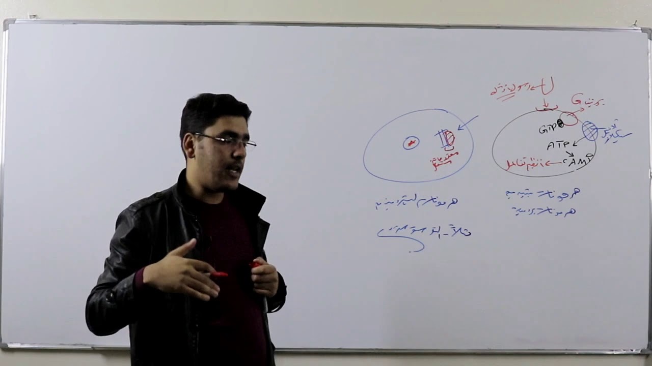 37 - الية عمل الهرمونات