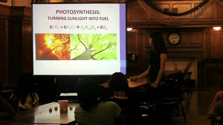 Yale Pathways, Science Caf: Sunlight to Fuel by Ju...