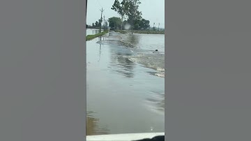 Flood again😭 #flood #punjab #viral #rescue #homeless #jalandhar #life #lohian #save #map