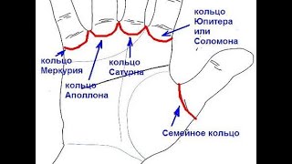 про линию судьбы, ума и кольцо аполлона. хиромантия