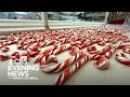 Candy cane makers supply nation during Christmas peppermint boom