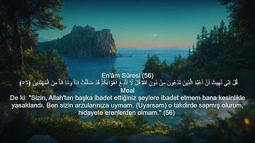 تلاوة عطرة من سورة الأنعام - محمد جمّال -