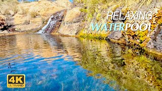 Tranquil Water pool Sunny Day in Nature  Relaxing Water Flow