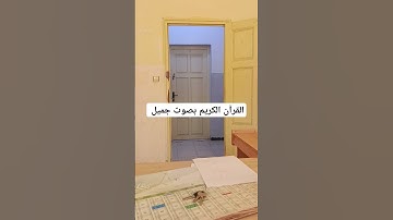 القرآن الكريم بصوت جميل #duet #القران_الكريم #اكسبلور #تيك_توك #qoraniyat421 #المصحف #qoraniyat423