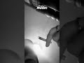 Shaw New Snippet 
