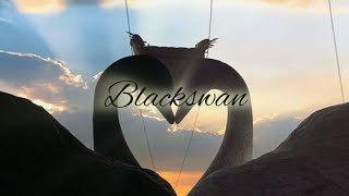 Morningstar - Blackswan /lyrics/