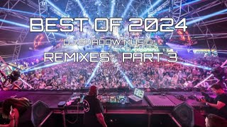 Best of 2024 • DJ Shadow Music (Remixes - Part 3)