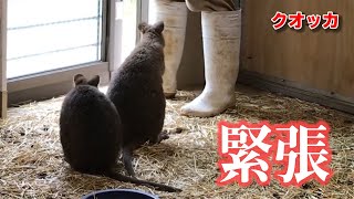 ついに一般公開！の裏側秘蔵映像公開！