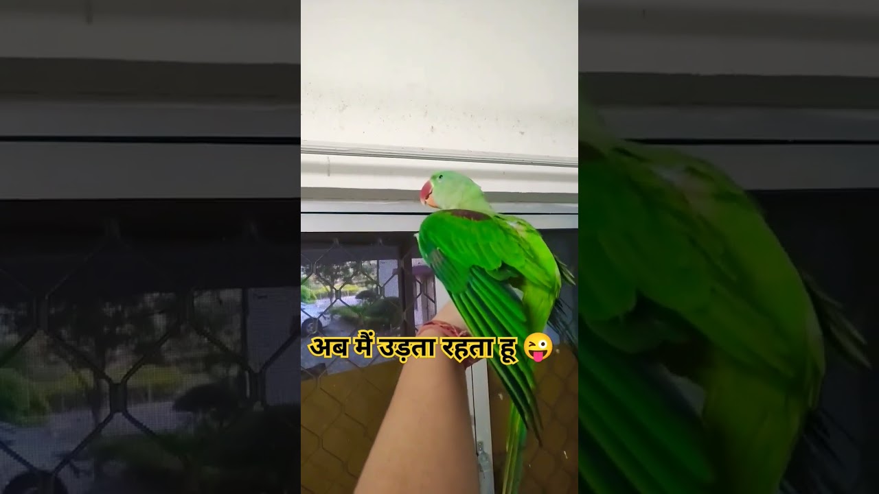 Yakeen nahi hota aisa bhi hogaya