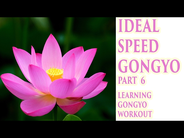 Round 6: Ideal Speed Gongyo class=