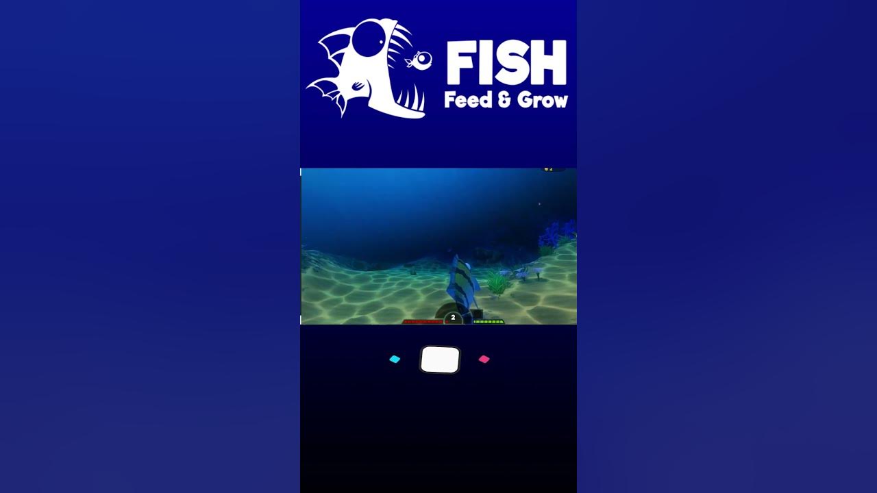 fish-feed-and-grow-part-24-youtube