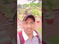 #दो चार ऐसी मुलाकात होगी#short#video#Hindi#song#Trending#song#viral❤️❤️🌹💞💞💋