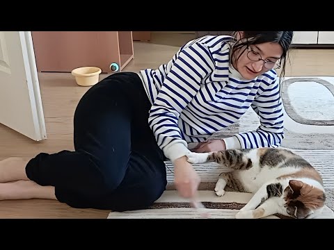 FISTIKLA HAYAT/BİZİM KIZLARIN EV HALLERİ🙂/ living happily at home with a cat/VLOG