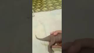 t-rex and spinosaur #jurassicworld #dinosaur #jurassicpark #memes #lhugueny