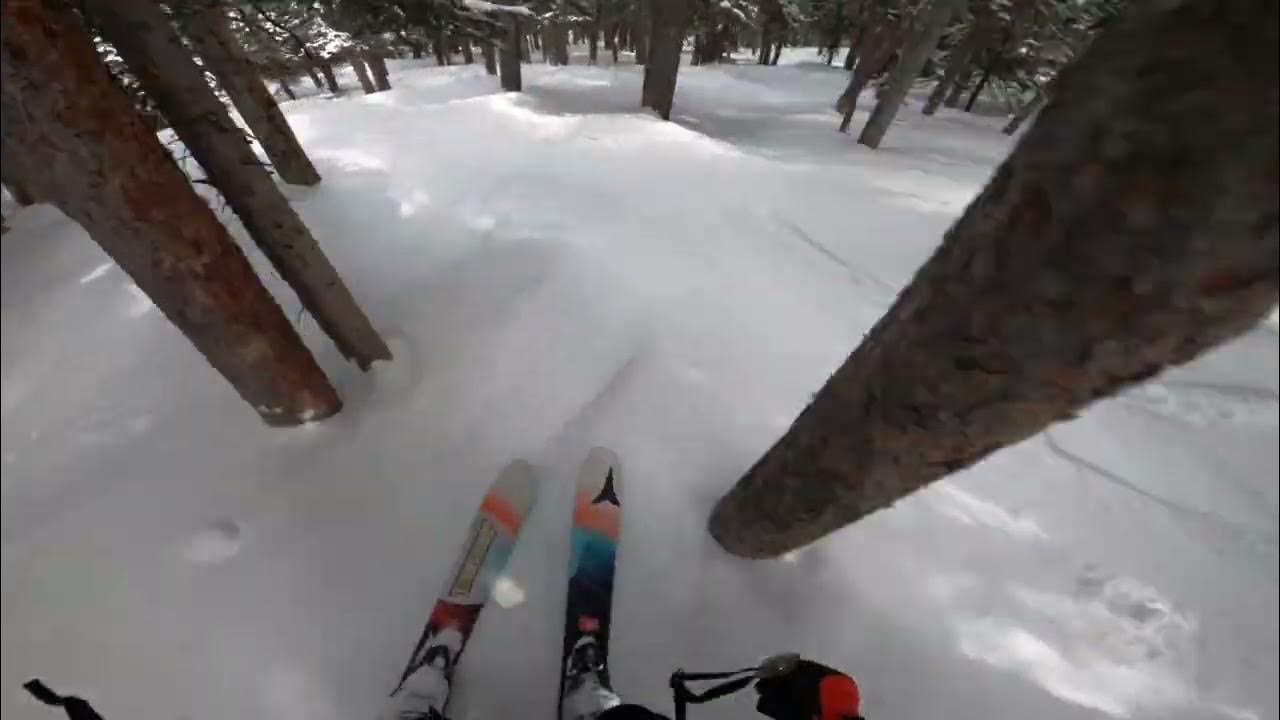 Gully Glades Skiing 2023 YouTube