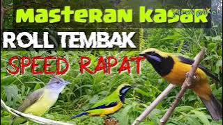 audio suara masteran kasar cucak cungko.. full roll tembak