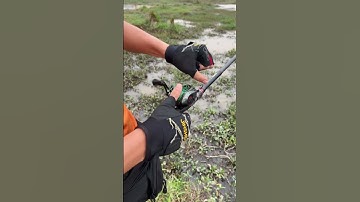 Cách để gỡ rối dây khi câu máy ngang nhanh nhất #caucaedu #fishing #cancaumayxin #caucagiaitri