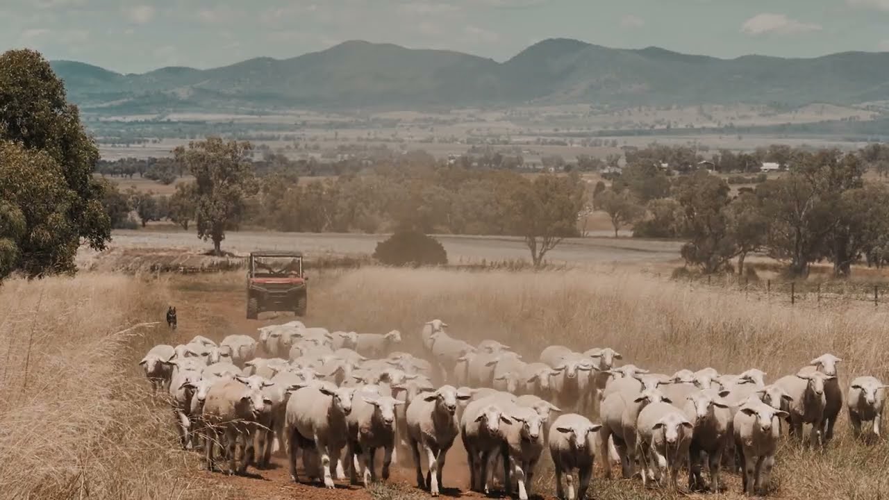 Elders Rural Gunnedah YouTube