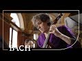 Bach - Sonata for viola da gamba in D major BWV 1028 - Van der Velden | Netherlands Bach Society