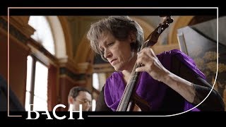 Bach - Viola da gamba sonata no. 2 in D major BWV 1028 - Van der Velden | Netherlands Bach Society