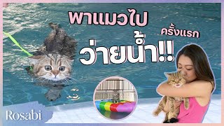 Rosabi ทาสแมว l พาแมวไปว่ายน้ำ(ครั้งแรก) ที่ petory