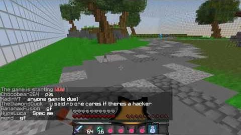 Speed hacks and sneak hacks.