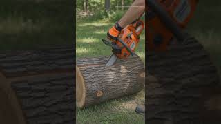 Before vs After Chainsaw Power