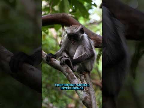 SHOCKING Wildlife Moment: Did YOU See This 2023 Wonder?