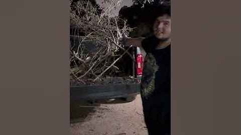 Eveon Container delivery! 40ft high cube Container! Clearing out yard to get Business ready!