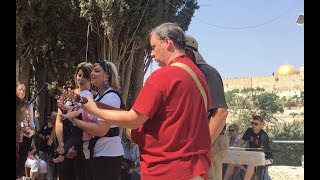 "When The Mob Cried" by the Isaacs in the Garden of Gethsemane.  Israel tour 2017. chords