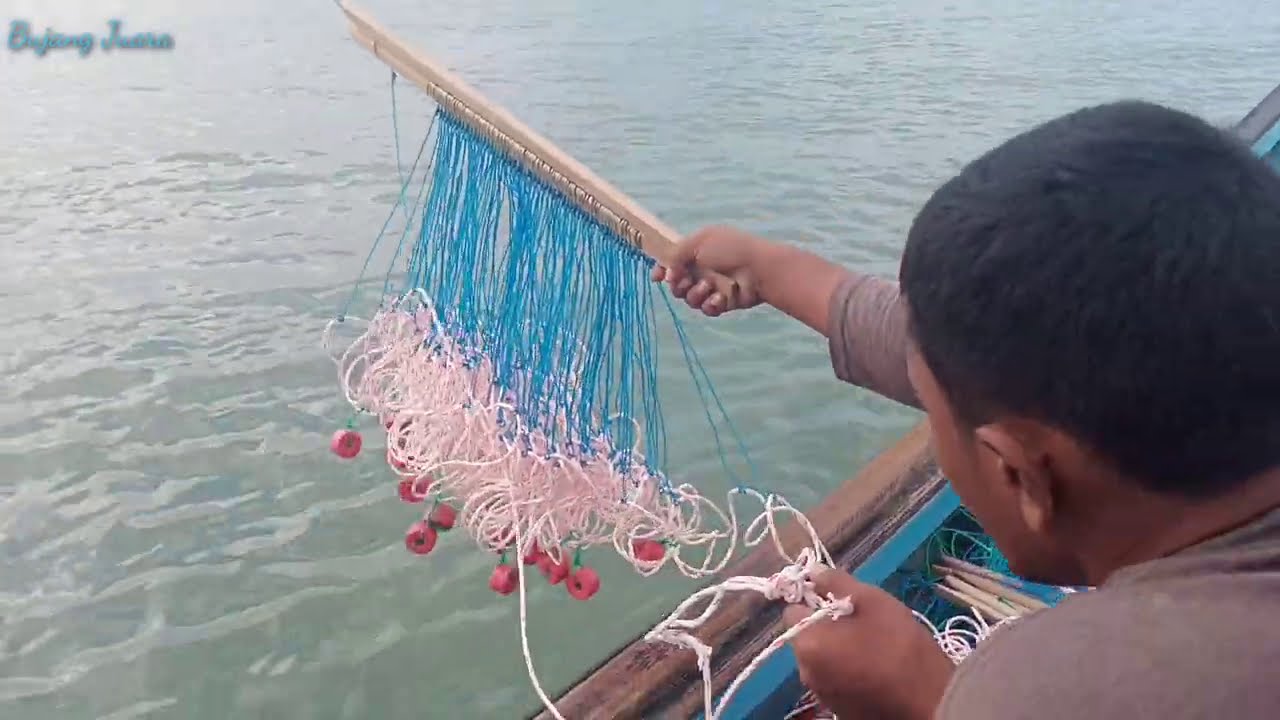 Merawai senggol ikan pari