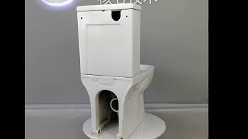 CT10812--Luxurious elongated P-trap toilet