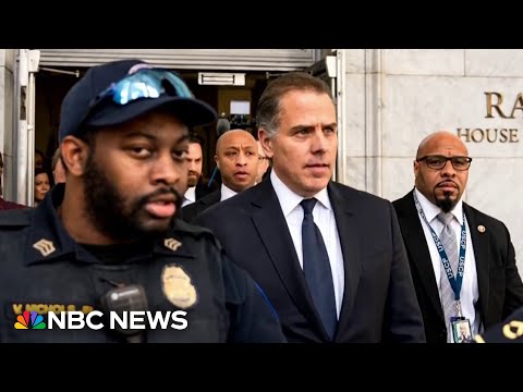 Breaking: hunter biden pleads not guilty to criminal tax charges