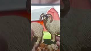 Unboxing Mojo Collecta Farm Animals Static Figure Statue Review - Ram Sheep Part 1