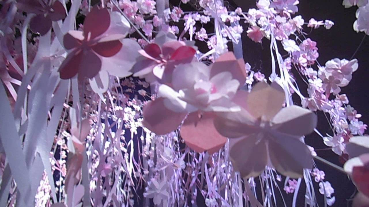 Dscf14資生堂銀座ビル花椿ホール桜インスタレーション Youtube