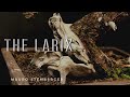 The LARIX