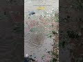 बहुत तेज़ बारिश 🌧️#desivlog #barish #vlog #viral