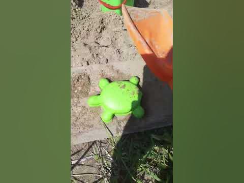 черепашка - YouTube