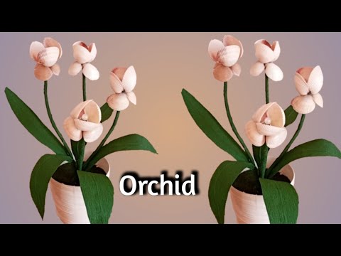 Orchid Flowers With