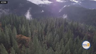 Reducing Carbon Emissions