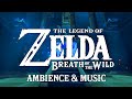 Zelda Breath Of The Wild Ambience Music Ancient Sheikah Shrine ASMR Work Study Sleep Aid