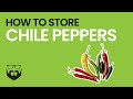 How to Store Chile Peppers