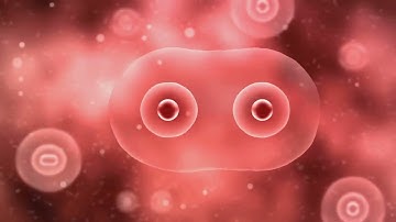 Cell theory - Explained in 3 minutes, for everyone to understand